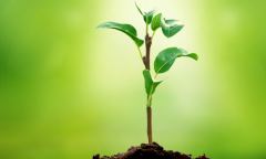 ATSC3.0發(fā)展回顧：行百里而九十？